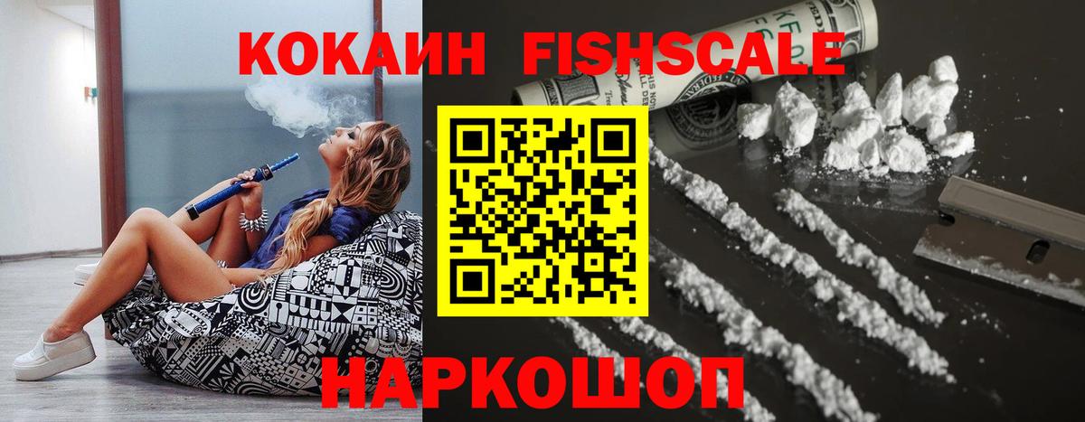 Кокаин FishScale  COCAIN FishScale  Cocaine  Вход с VPN  Елец 