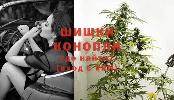 mdpv Горно-Алтайск
