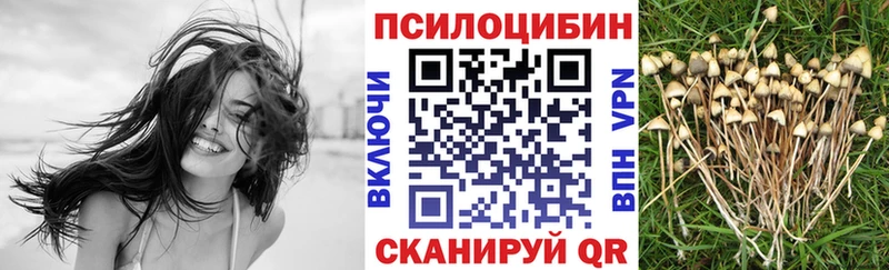 ссылка на мегу ONION Елец Псилоцибиновые грибы Psilocybine cubensis сколько стоит