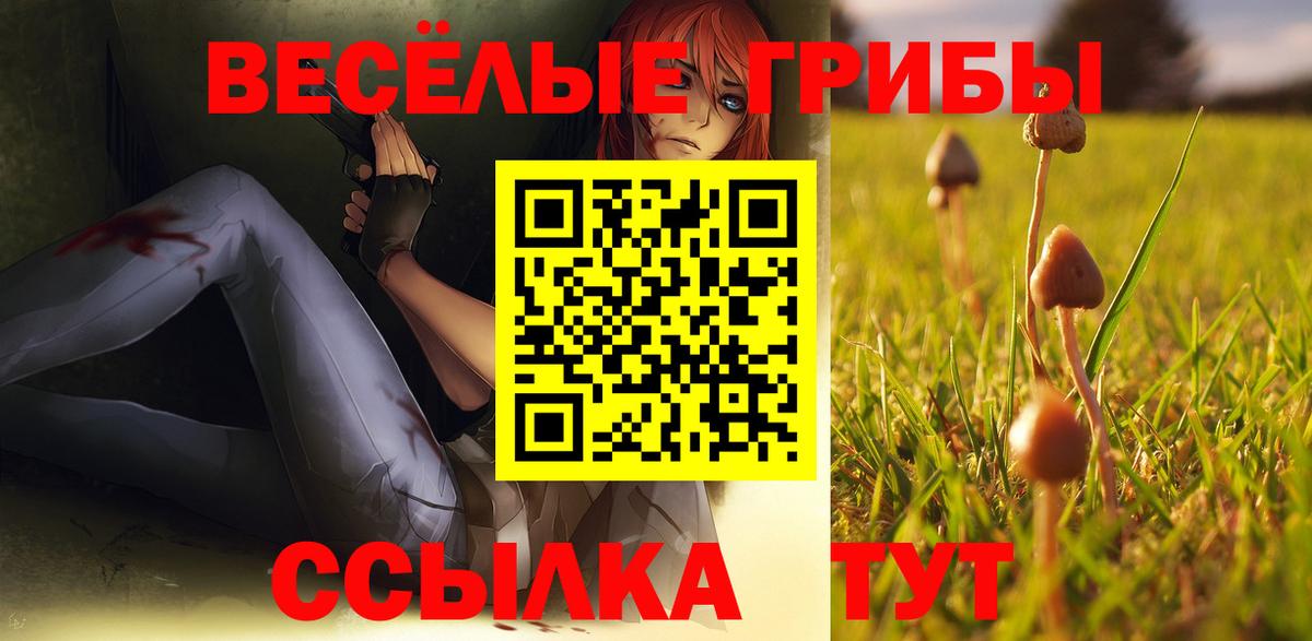Елец  Псилоцибиновые грибы прущие грибы  Вход с VPN 
